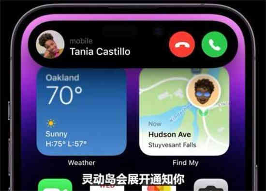 如何设置苹果智能岛功能