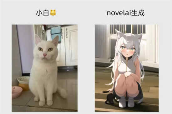 如何使用小说