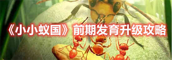 小蚂蚁王国前期如何开发升级