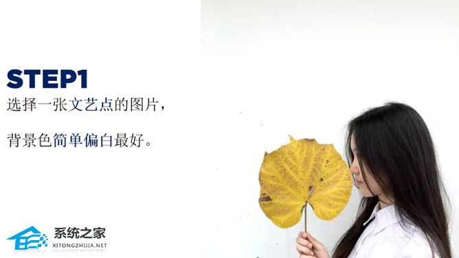 如何在PPT中设置图像透明度