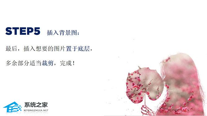 如何在PPT中设置图像透明度