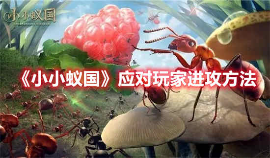 小蚂蚁王国如何应对玩家攻击