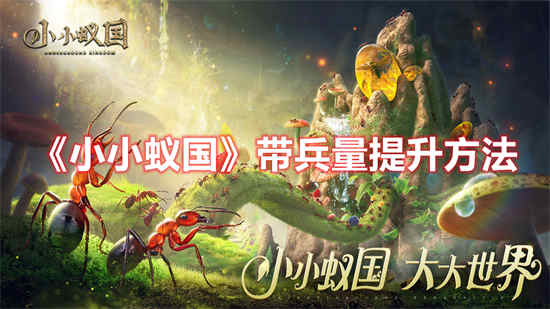 如何增加小蚂蚁王国率领的军队数量？