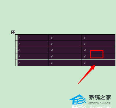 在哪里设置Word表格的行高