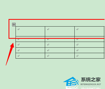 在哪里设置Word表格的行高