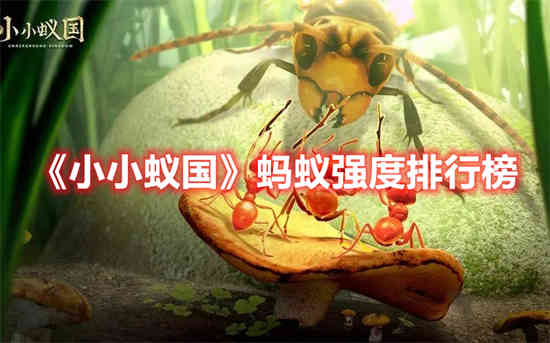 小蚂蚁王国里的蚂蚁实力排名如何？