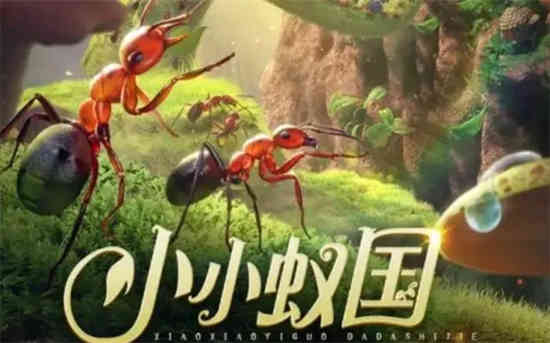 小蚂蚁王国里的蚂蚁实力排名如何？