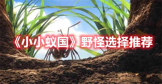 如何选择小蚂蚁王国的野生怪物