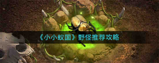 小蚁国里有哪些野生怪物？