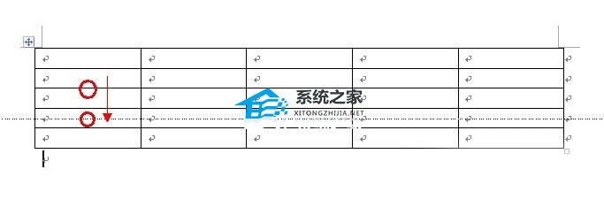 如何调整Word中表格的大小