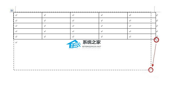 如何调整Word中表格的大小