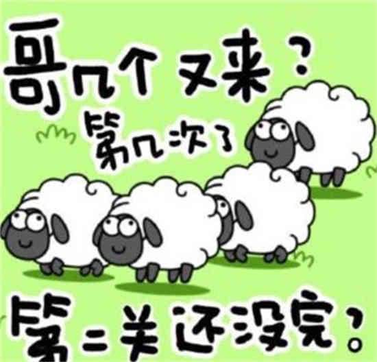 羊加载失败的原因是什么？