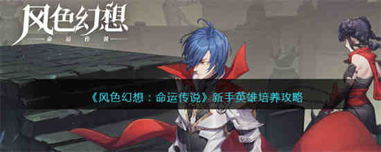 枫色幻命运传奇新手英雄如何培养