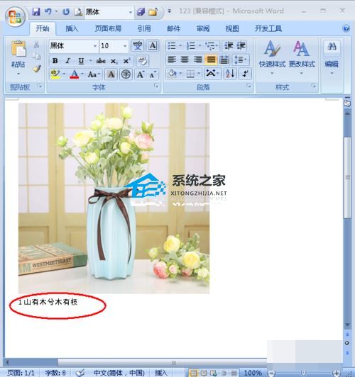 如何在Word中添加图片注释