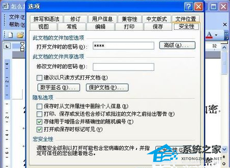 Word文档设置查看密码教程
