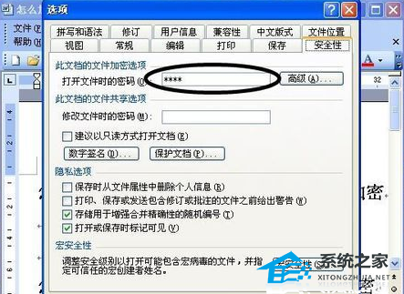 Word文档设置查看密码教程