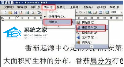 导入Word软件的gif动画是静态的怎么办？