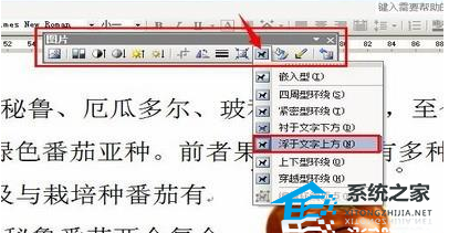 导入Word软件的gif动画是静态的怎么办？