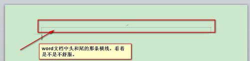 如何取消Word页眉和页脚中的行显示的教程