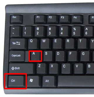 Microsoft Word 中全选的快捷键是什么？