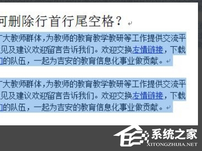 wps输入后出现空格怎么办
