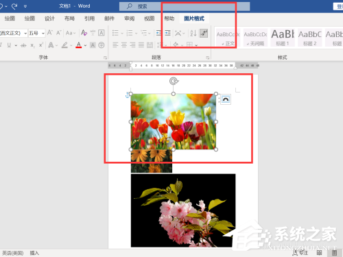 word图片怎么统一调整大小笔记本