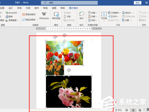 word图片怎么统一调整大小笔记本