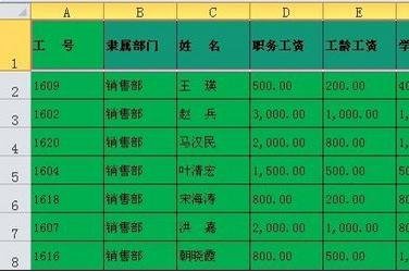 如何在excel中筛选出自己想要的内容
