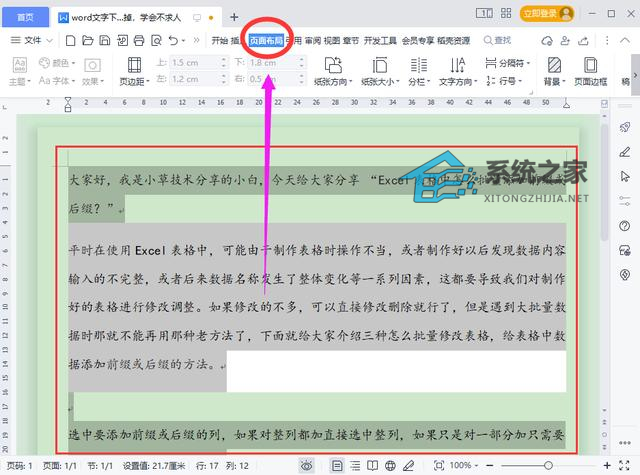 word文字为什么有白底