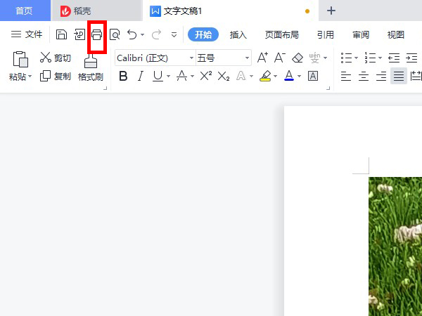 wps怎么打印其中一部分