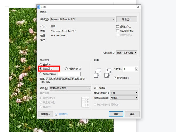 wps怎么打印其中一部分