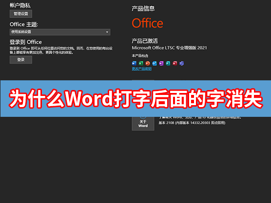 word文档打字的时候为什么后面的字会消失