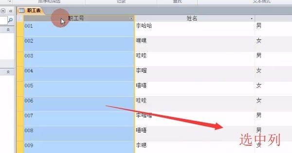 在access中冻结字段可以使得光标