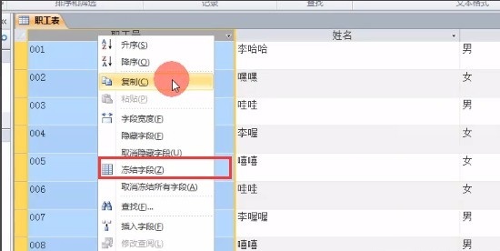 在access中冻结字段可以使得光标