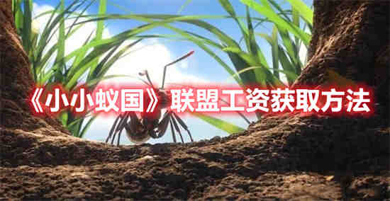 小小蚁国怎么快速发展