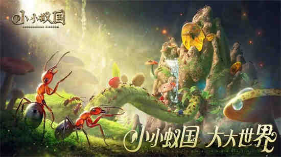 小小蚁国怎么快速发展