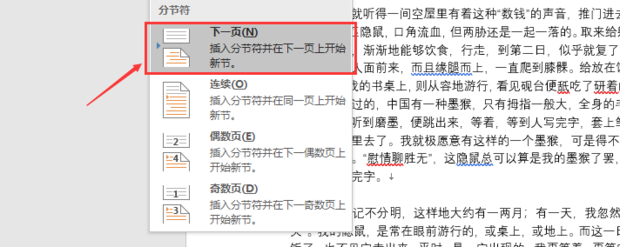 word怎样设置第二页的页码为1