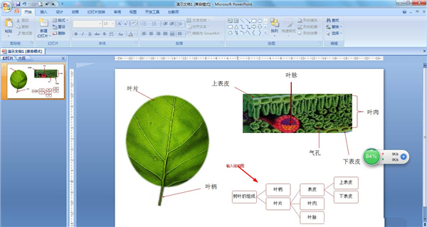 ppt如何制作结构图表