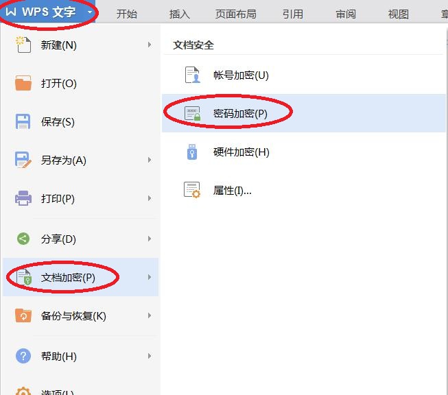wps文档设密码怎么设置