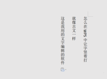 wps 文字竖向