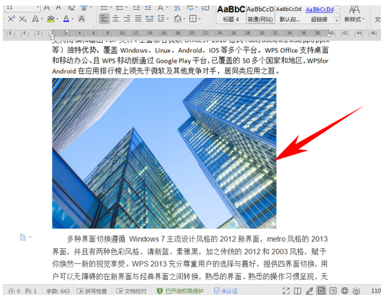 word图片只显示一小条