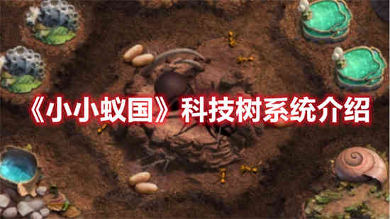 小小蚁国战斗力提升攻略