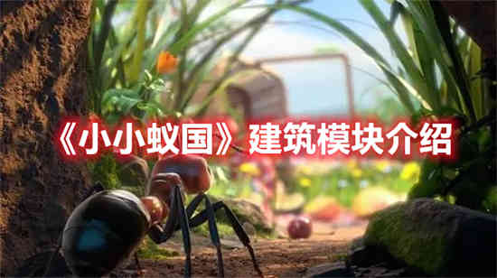 小小蚁国区域战攻略