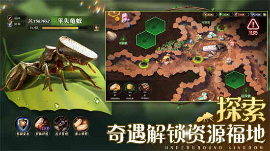 小小蚁国官方版
