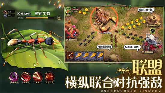 小小蚁国官方版