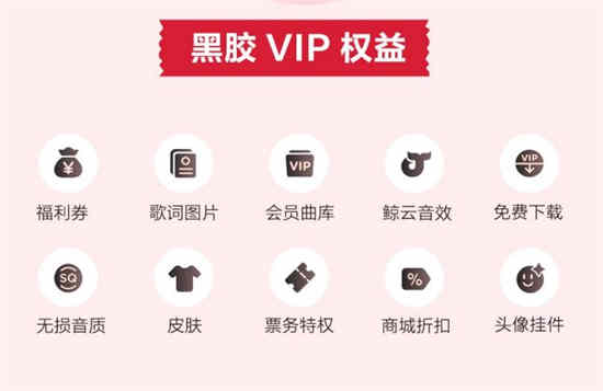 网易云黑胶兑换码发卡平台