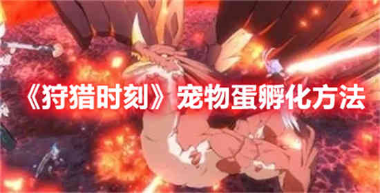 狩猎时刻宠物蛋怎么孵化出来
