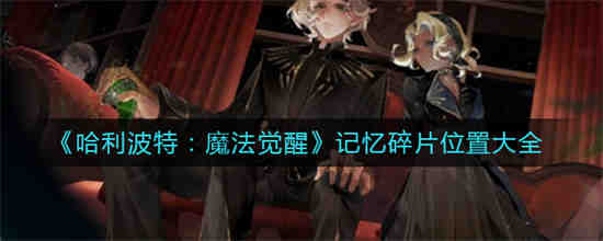 哈利波特魔法觉醒记忆瓶在哪