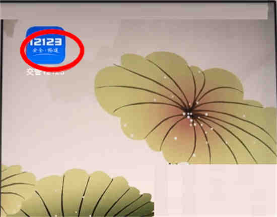 交管12123车辆绑定手机号码怎么改