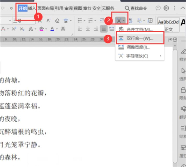 word文档里双行合一怎么设置